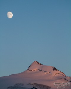 Mons Peak, Lyell Icefield, British Columbia, Canada
