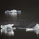 Icebergs in the evening