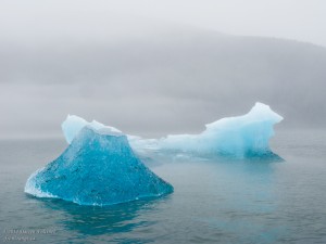 Bergs in the mist