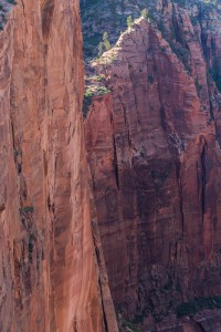 Reflected light on red walls, Zion NP