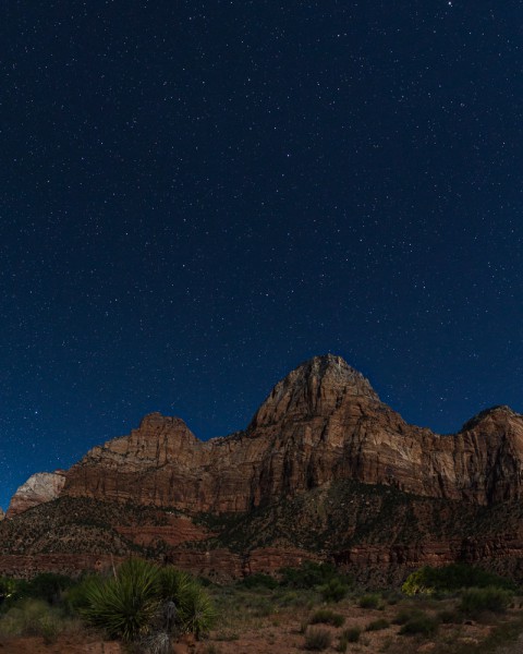 Walls of sandstone lit by moonlight, Zion NP