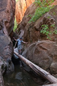 Rob on a log crossing, upper Hidden Canyon, Zion NP