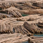Logs, Nakusp, British Columbia