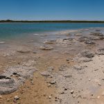 Stromatolites, one of the oldest lifeforms on Earth. Cervantes, Western Australia.