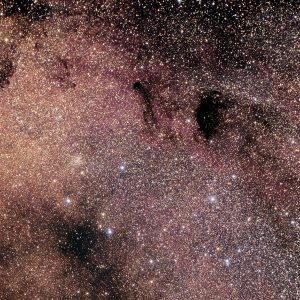 M24 starfield and Barnard 92 and 93. Image credit: Dave Snope