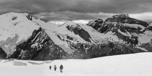 Jim, Rick and Rick hiking up Springrice glacier.  Whiterose (L), Rosepetal and Cockcomb (R) peaks behind.