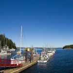 Quadra Island harbour, British Columbia